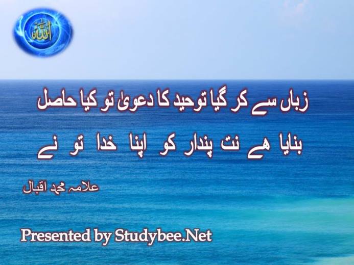 Zuban sy kar gya toheed ka dawa to kya hasil, Allama Iqbal famous Poetry in Urdu with pictures