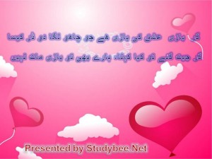 gar bazi ishq ki bazi hy jo chaho laga do dar kesa gar jeet gaye to kia kehna, haray bhi to bazi mat nahi (Faiz Ahmed Faiz- Love Poetry)