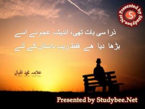 Zara si bat thi andesha e ajam nay usy, barha diya hy faqat zeb e dastan k liye Allama Iqbal Famous Poetry in Urdu with Pictures