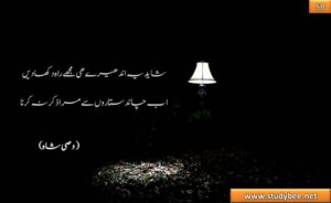 shayd ye andhery he muj rah dikha den, ab chand sitaron say mera zikar na krna