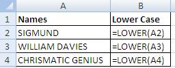 Change text to lower case MS excel-2