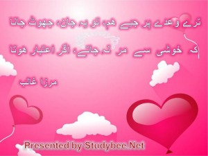 Tery waday par jiye ham, to ye jan jhoot jana, kay khushy say mar na jaty agar aetbar hota(Mirza Ghalib-Love Poetry)