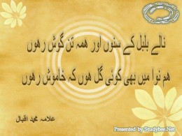 Shikwa by Allama Iqbal - StudyBee.Net