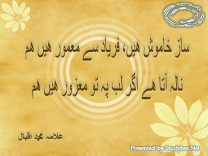 Shikwa by Allama Iqbal - StudyBee.Net