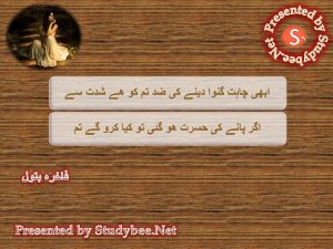 Fakhira Batool Famous Urdu Poetry
