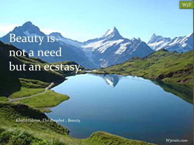 Beauty is not a need but an ecstasy.