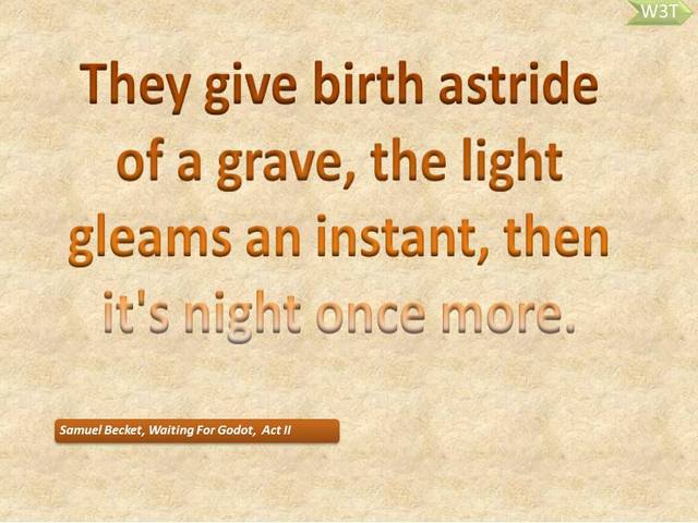 They give birth astride of a grave, the light gleams an instant, then it's night once more. 